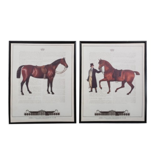 ΚΑΔΡΟ BROWN HORSE 1/2 40*50 555