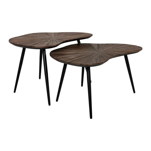 ΣΕΤ 2 ΤΡΑΠΕΖΑΚΙΑ ΣΑΛΟΝΙΟΥ Fylliana Gaia ΚΑΦΕ ΧΡΩΜΑ 76x52x45εκ & 76x52x38εκ