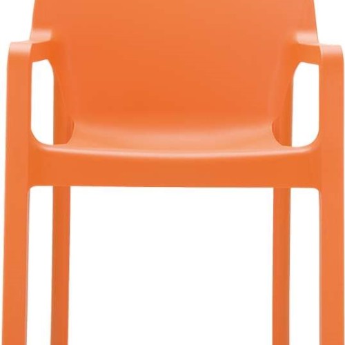 DIVA ORANGE(Σ22)ΠΟΛΥΘΡΟΝΑ ΠΟΛ/ΝΙΟΥ