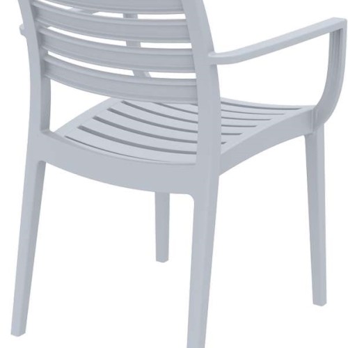 ARTEMIS SILVER GREY ΠΟΛΥΘΡΟΝΑ ΠΟΛ/ΝΙΟΥ
