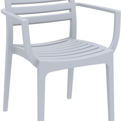 ARTEMIS SILVER GREY ΠΟΛΥΘΡΟΝΑ ΠΟΛ/ΝΙΟΥ