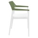 TULUM WHITE/OLIVE GREEN ΠΟΛΥΘΡΟΝΑ ΠΟΛ/ΝΙΟΥ 55X52X79εκ. TULUM WHITE/OLIVE GREEN ΠΟΛΥΘΡΟΝΑ ΠΟΛ/ΝΙΟΥ 55X52X79εκ.